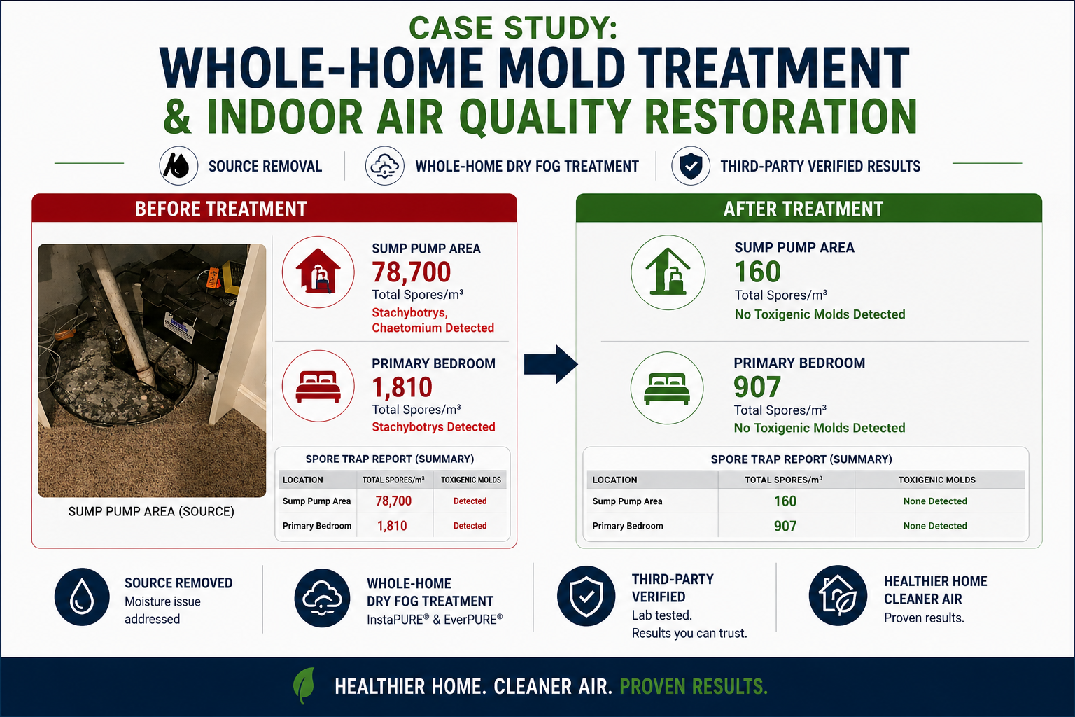 Case Study: Whole-Home Mold Treatment & Indoor Air Quality Restoration