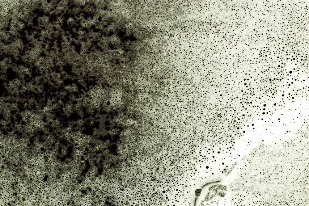 The Dead Mold Myth